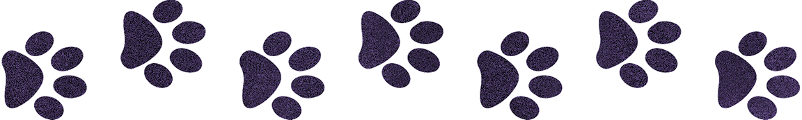 A trail of paw prints.